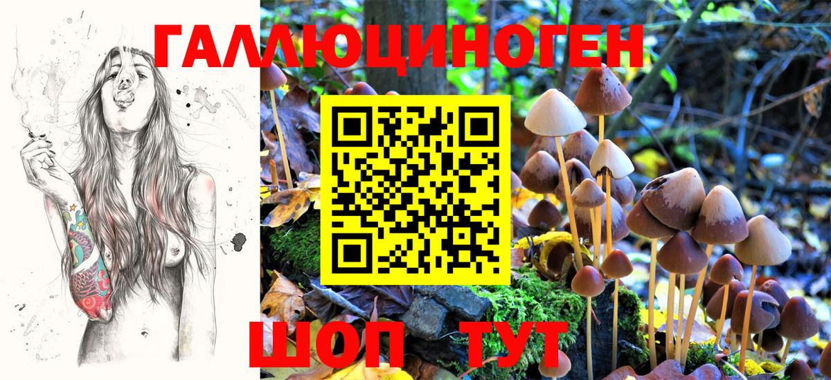 Орёл  Псилоцибиновые грибы ЛСД  Вход с VPN 