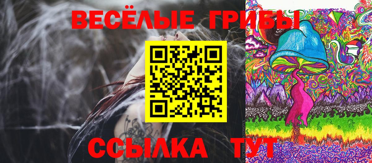 Псилоцибиновые грибы GOLDEN TEACHER Орёл